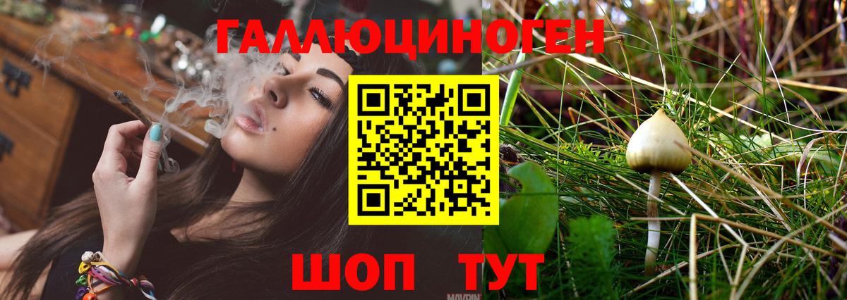 Галлюциногенные грибы Cubensis  Галлюциногенные грибы Magic Shrooms  Вход с VPN  Санкт-Петербург 