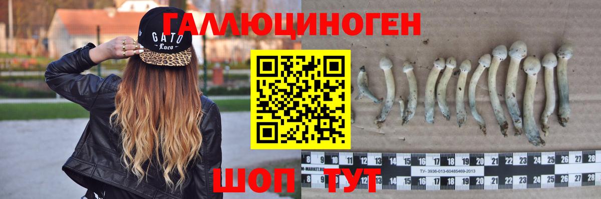 Псилоцибиновые грибы мухоморы Санкт-Петербург